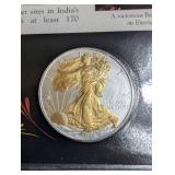 U.s. Silver Eagle Dollars Collector Panels (Lot of 25)