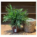 TR - Ikea Faux Greenery in Woven Baskets (Lot of 4)