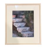 LL - Thormina Framed Print by Judy Glazer