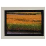 LL - Framed Marshland Print