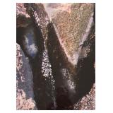 LL - Pretty Print by Judy Glazer