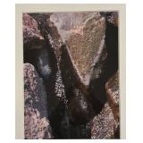LL - Pretty Print by Judy Glazer