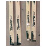 LLS - Rossignol Tempo Quest Cross-Country Skis & Alpina Poles