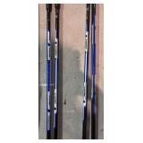 LLS - Rossignol Tempo Quest Cross-Country Skis & Alpina Poles