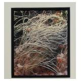 LL - Framed Nature Print