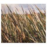 LL - Framed Landscape Print