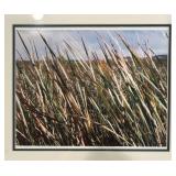 LL - Framed Landscape Print