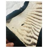 ZEBRA HIDE on felt backing
