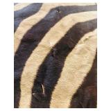 ZEBRA HIDE on felt backing