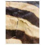 ZEBRA HIDE on felt backing