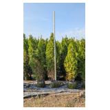 5-6