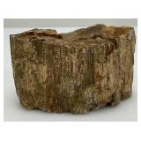 Petrified Wood 2" x 3" x 4 1/2"