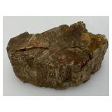 Petrified Wood 2" x 3" x 4 1/2"