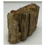 Petrified Wood 2" x 3" x 4 1/2"