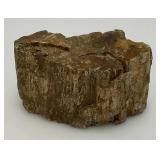 Petrified Wood 2" x 3" x 4 1/2"