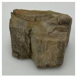 Petrified Wood 2 1/2" x 3" x 4"