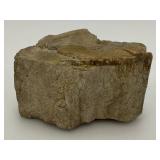 Petrified Wood 2 1/2" x 3" x 4"
