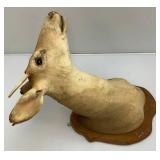 Very Old Spike Deer Mount