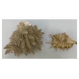 Misc. Vintage Collectible Items Including Coral And more