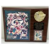 1998 N.F.C. Central Division Green Bay Packers Brett Farve Plaque 12" x 15"