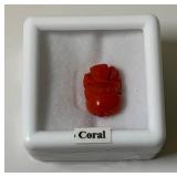 3/8" Coral In Protective Case