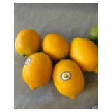 Farmer Green Faux Lemons & Vintage Beaded Frosted Fruit Decor Lot
