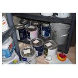 Shelves and Contents - Paint, Cleaners