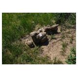 Outdoor Statues