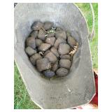 Charcoal & Gas Grill Pumice Rocks