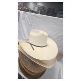 Variety of Straw and Cowboy Hats