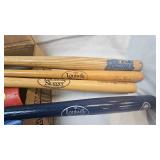 Lot of Flashlights and Mini Bats