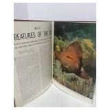 1955 LIFE The World We Live In Coffee Table Book