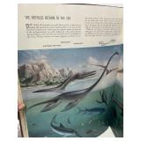 1955 LIFE The World We Live In Coffee Table Book