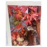 8 Vintage Unframed Nature Prints Various Photographers 14" X 11"