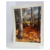 8 Vintage Unframed Nature Prints Various Photographers 14" X 11"