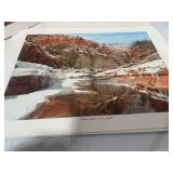 8 Vintage Unframed Nature Prints Various Photographers 14" X 11"