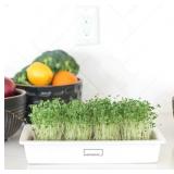 2 Pack HAMAMA Microgreens Growing Kit - Sprouts Growing Kit, Sprouting Kit
