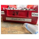 Campagnolo Brake Bolts Mixed Assortment