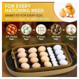 HIRALIY Incubator for Hatching Eggs, 48 Quail Capacity, Chicken & Quail Egg Incubator with Automatic Egg Turning and Humidity Control, 360  Viewing for Home, Farm, Classroom