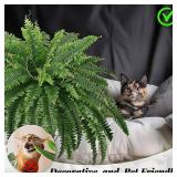 FOREST PRINCE 45" Fake Ferns, Realistic Large Artificial Bush Plants, 2 Artificial Boston Ferns with 59 Fronds for Outdoors Planter Indoor Home Garden Porch Decor