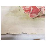 Paul de Longpre and Mary Hart Floral Yard Long Prints - items at edges not included