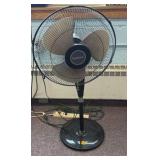 fan