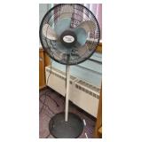 fan