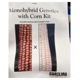 Mono hybrid genetics with corn kit, chromosomes and shells