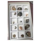 General fossil collections, teacher and student