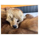 Genuine Mink Pelt