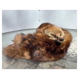 Genuine Mink Pelt