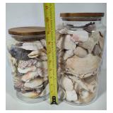 Two Large Jars of Shells