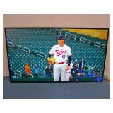 55" NEC MA551 MultiSync 4K UHD LED-Backlit LCD Monitor and HDMI Cable - does NOT include Remote Control