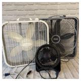 Fans